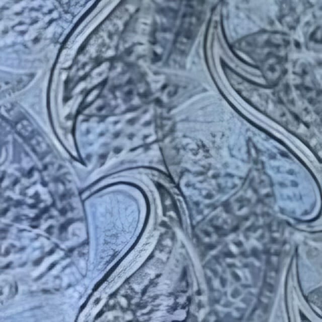 JP Mandarin Collar Sleeveless Top